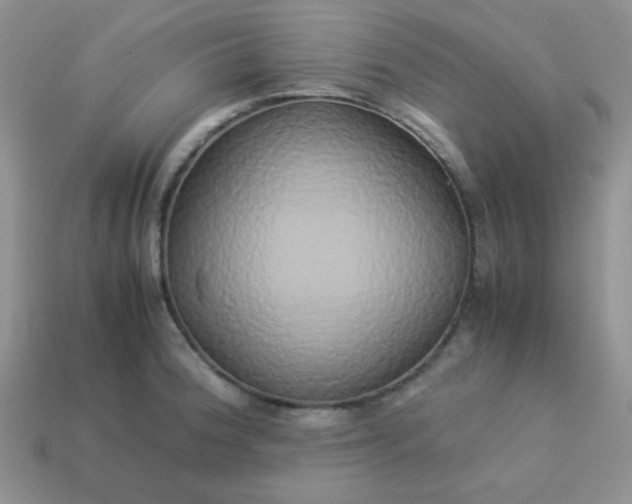 X0000114151188200910221540