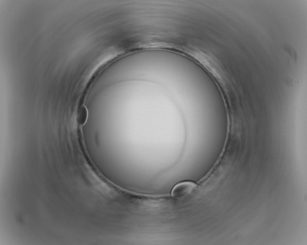 X0000114151189200910221540