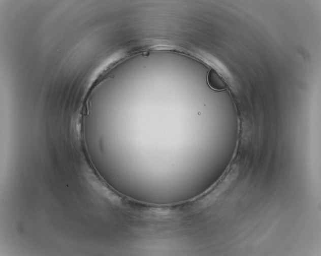 X0000114151190200910221540