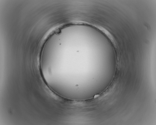 X0000114151191200910221540