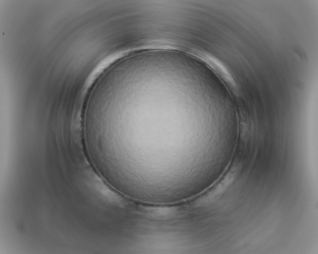 X0000114151192200910221540