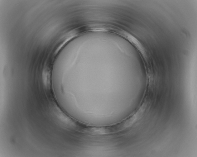 X0000114151194200910221540