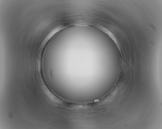 X0000114151195200910221540