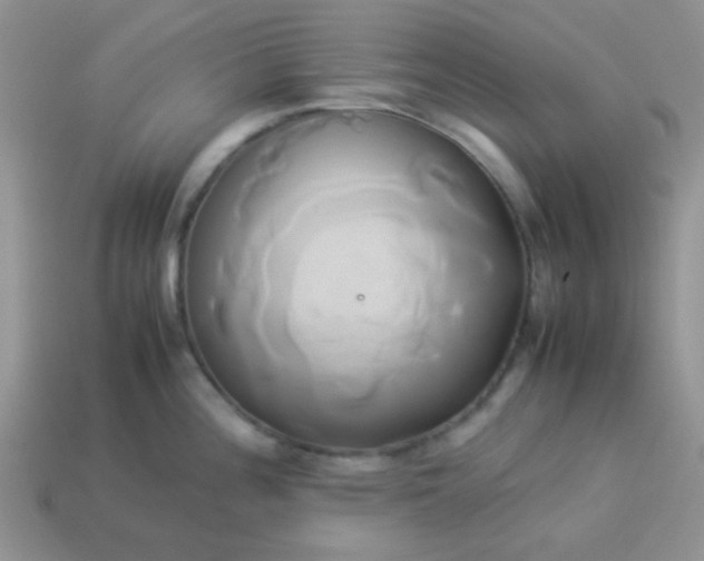 X0000114151196200910221540