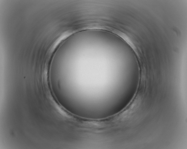 X0000114151197200910221540