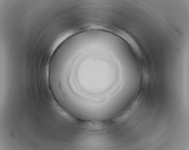 X0000114151198200910221540