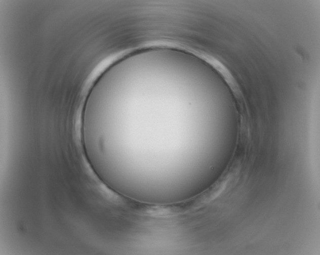 X0000114151199200910221540