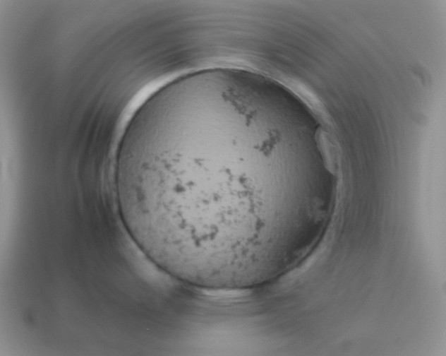 X0000114151200200910221540