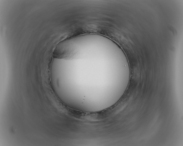 X0000114151201200910221539