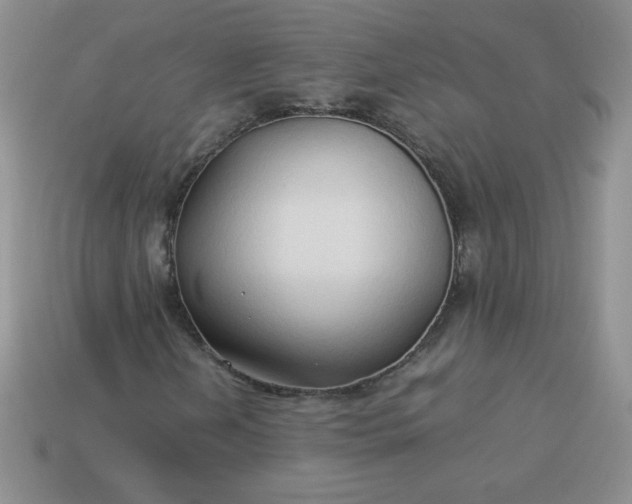 X0000114151202200910221539