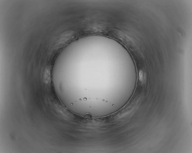 X0000114151203200910221539