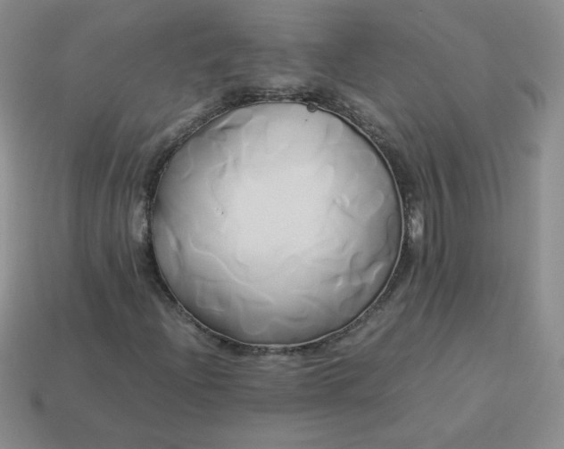 X0000114151204200910221539