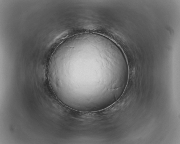 X0000114151205200910221539