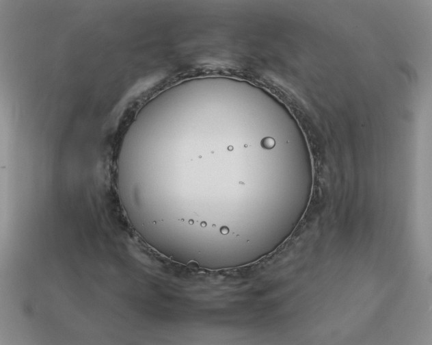 X0000114151207200910221539