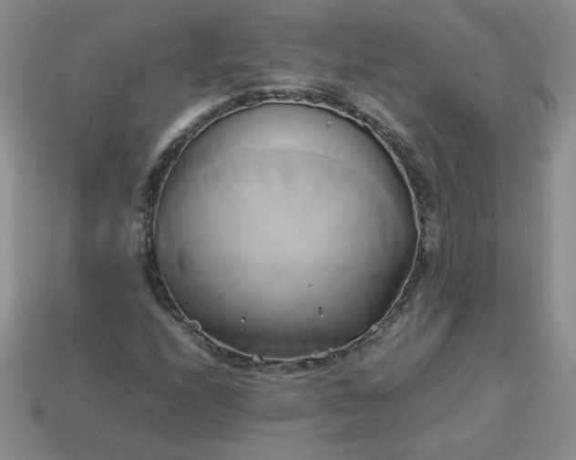 X0000114151208200910221539