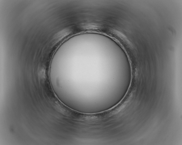 X0000114151209200910221539