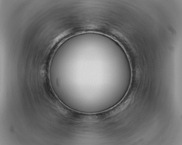 X0000114151210200910221539