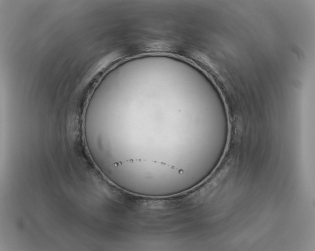 X0000114151211200910221539