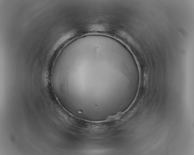 X0000114151213200910221539