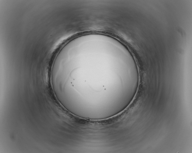 X0000114151214200910221540