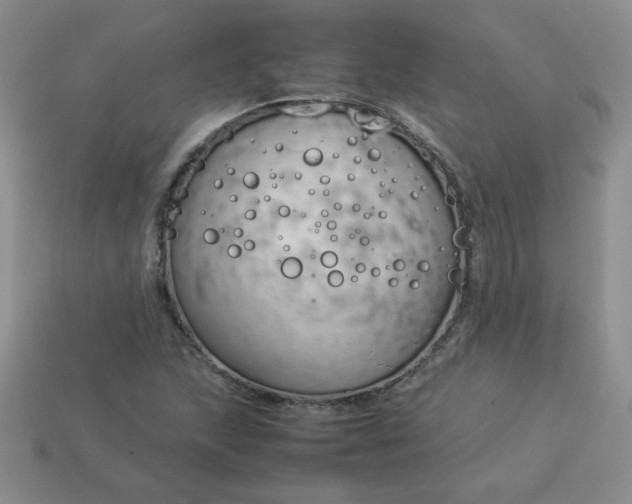 X0000114151215200910221540