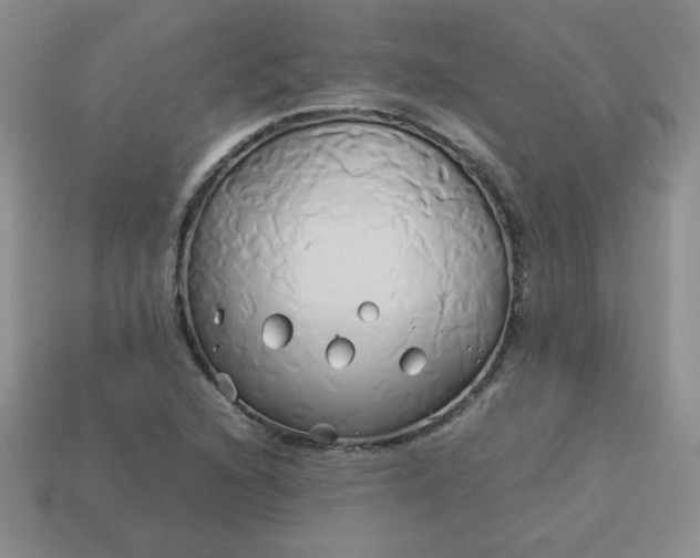 X0000114151216200910221540