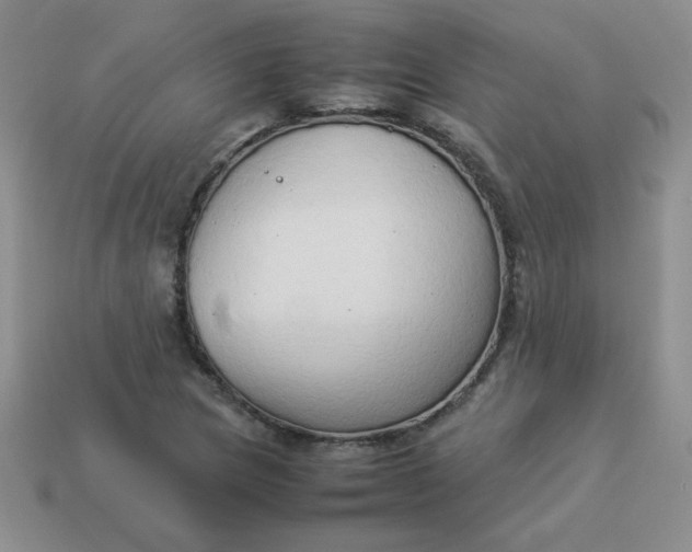 X0000114151217200910221540