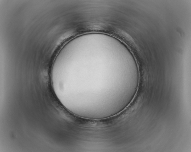 X0000114151218200910221540