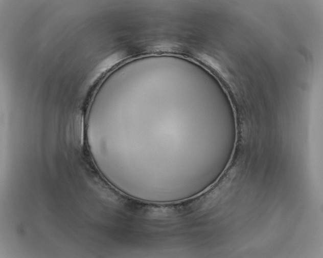 X0000114151219200910221540