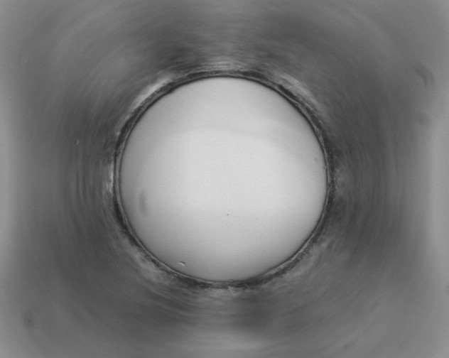 X0000114151220200910221540