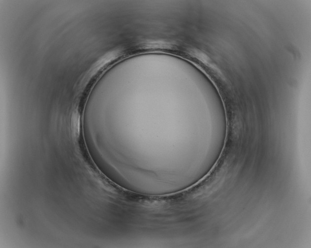 X0000114151221200910221540