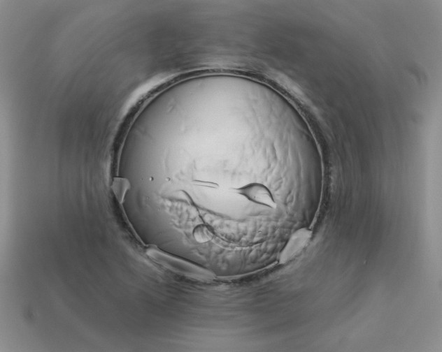 X0000114151222200910221540