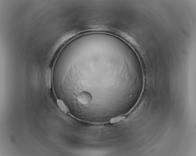 X0000114151223200910221540