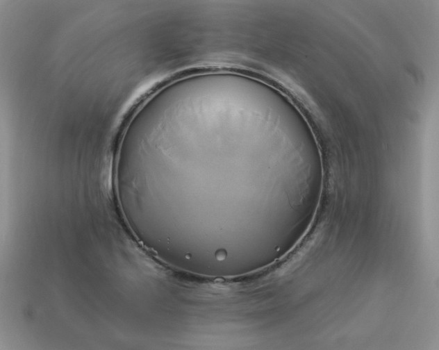 X0000114151224200910221540