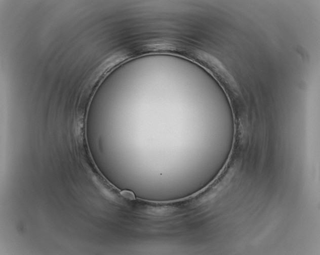 X0000114151225200910221540