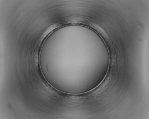 X0000114151226200910221540