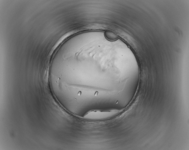 X0000114151228200910221540