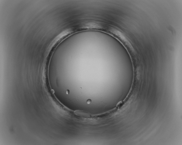 X0000114151229200910221540