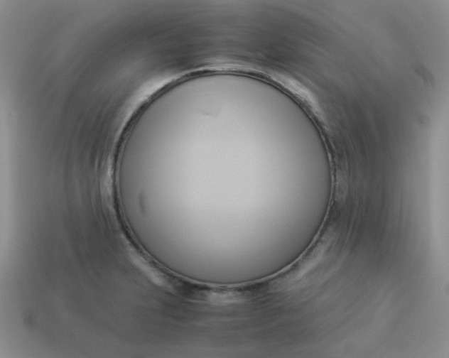 X0000114151231200910221540