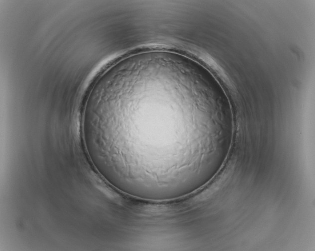 X0000114151232200910221540