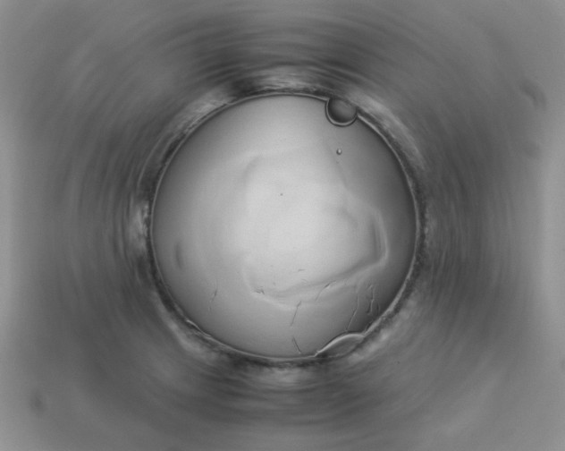 X0000114151233200910221540