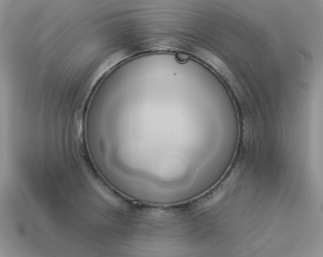 X0000114151234200910221540