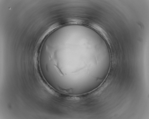 X0000114151235200910221540