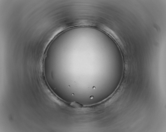 X0000114151236200910221540