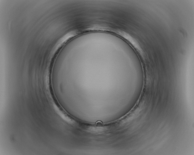 X0000114151237200910221540