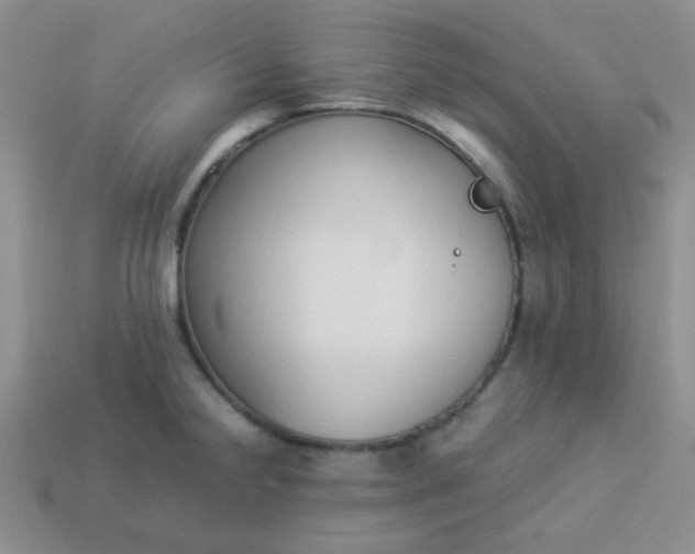 X0000114151238200910221540