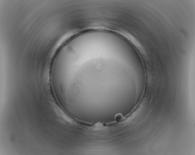 X0000114151240200910221540