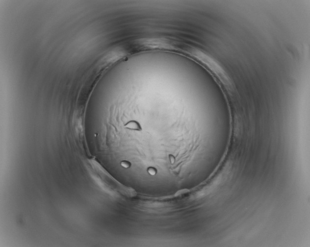 X0000114151241200910221540