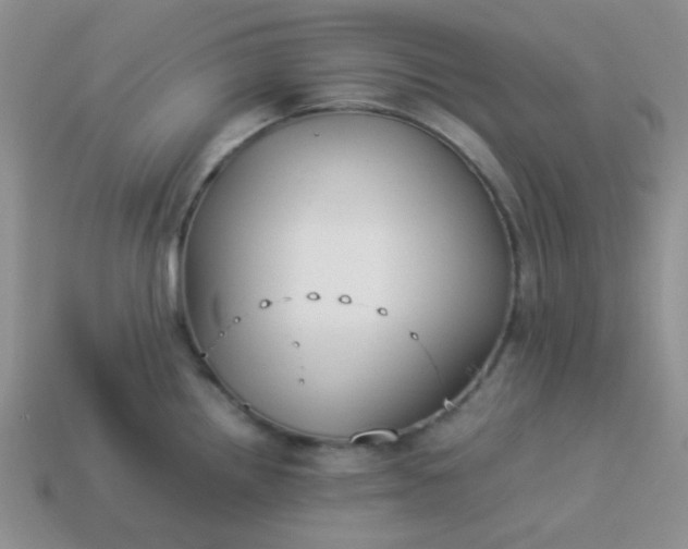 X0000114151242200910221540