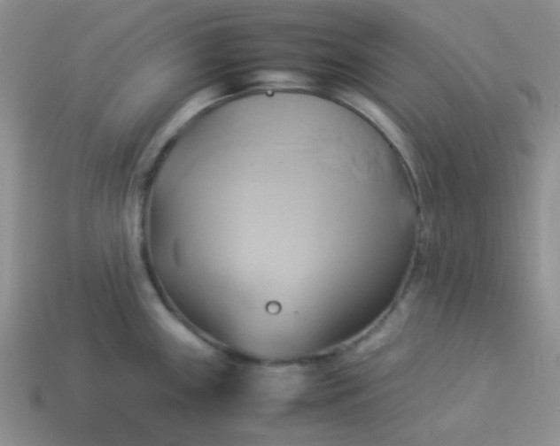 X0000114151243200910221540